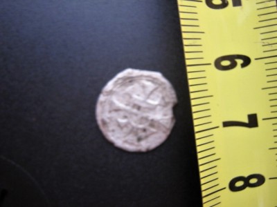 stříbrňák 003.jpg