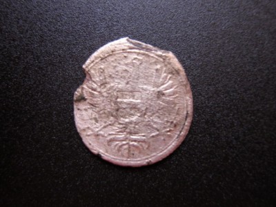 stříbrňák 001.jpg