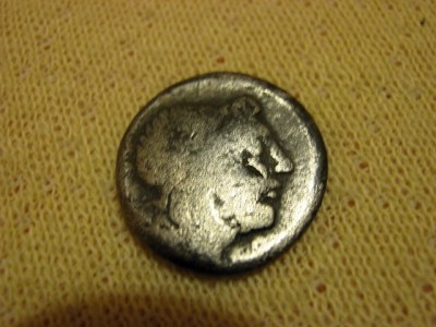 stříbrňak 001.jpg