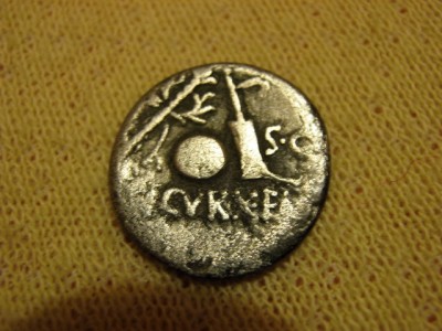 stříbrňak 002.jpg