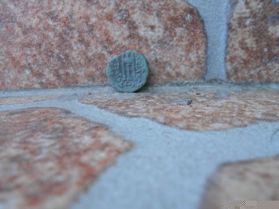 tolar leopoldus 659.jpg