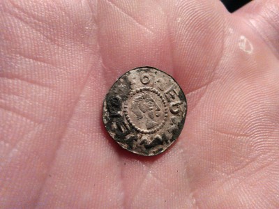 tolar leopoldus 1099.jpg