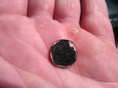 tolar leopoldus 1115.jpg