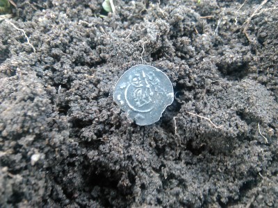 tolar leopoldus 1260.jpg