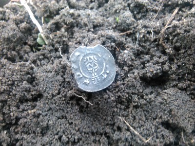 tolar leopoldus 1263.jpg