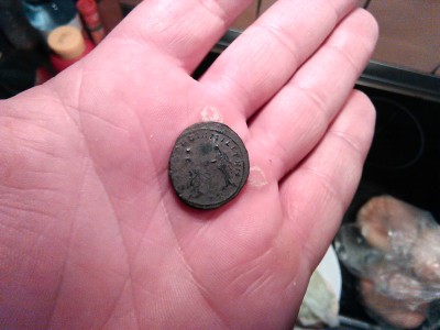 tolar leopoldus 1192.jpg