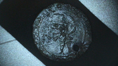 S20240227_0008.jpg