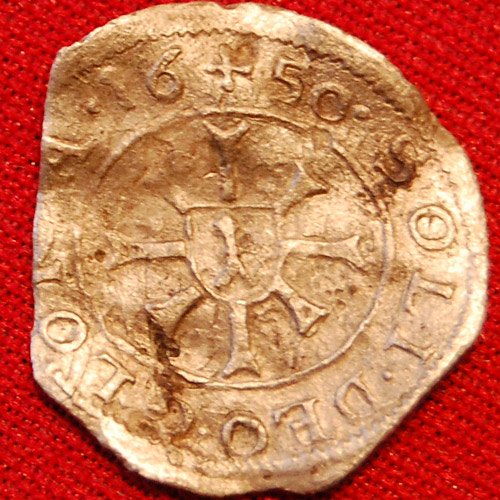 mince-DSC_1104